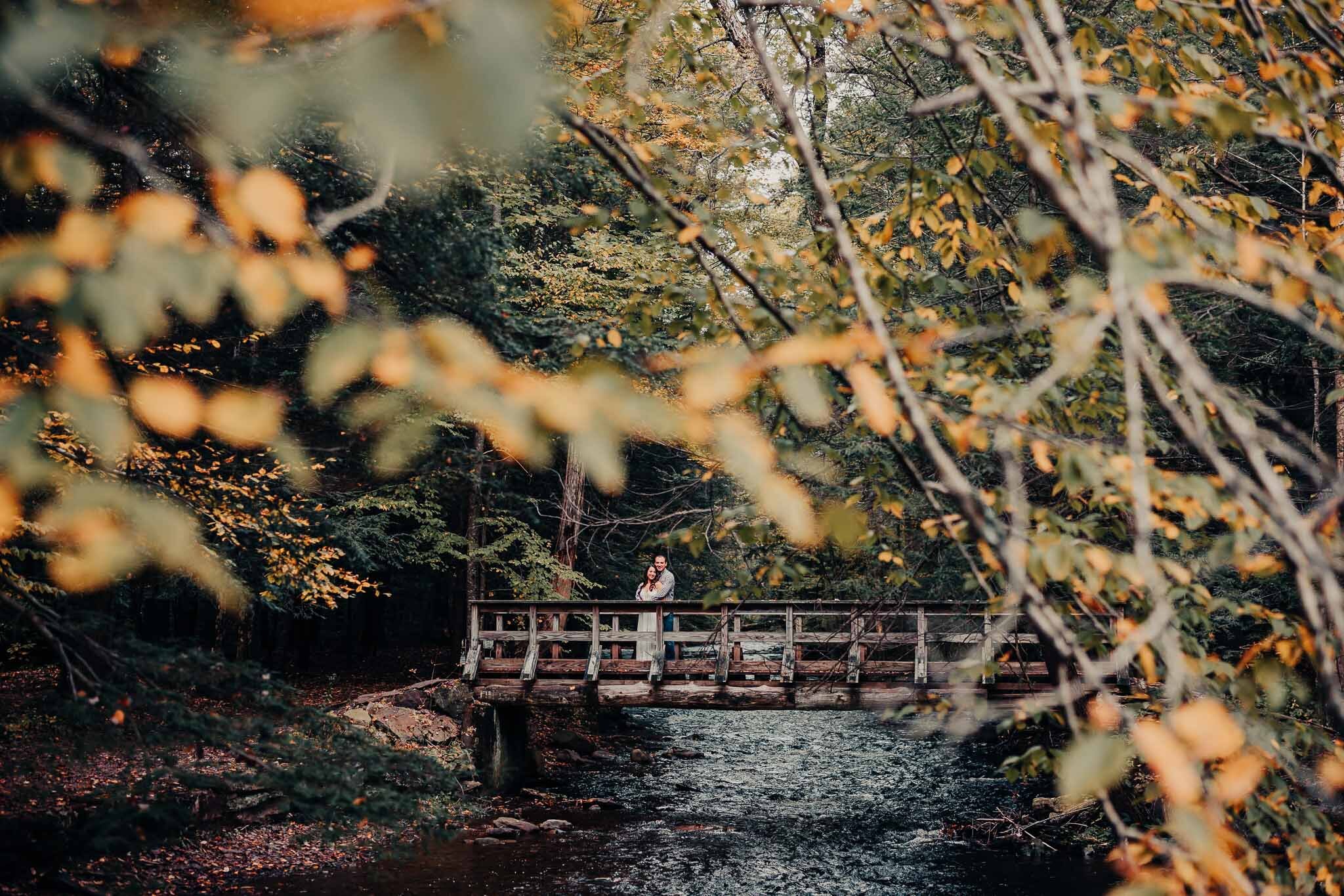 ricketts-glen-fall-engagement-7720.jpg