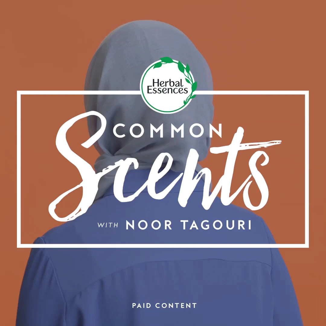 noor-tout.gif