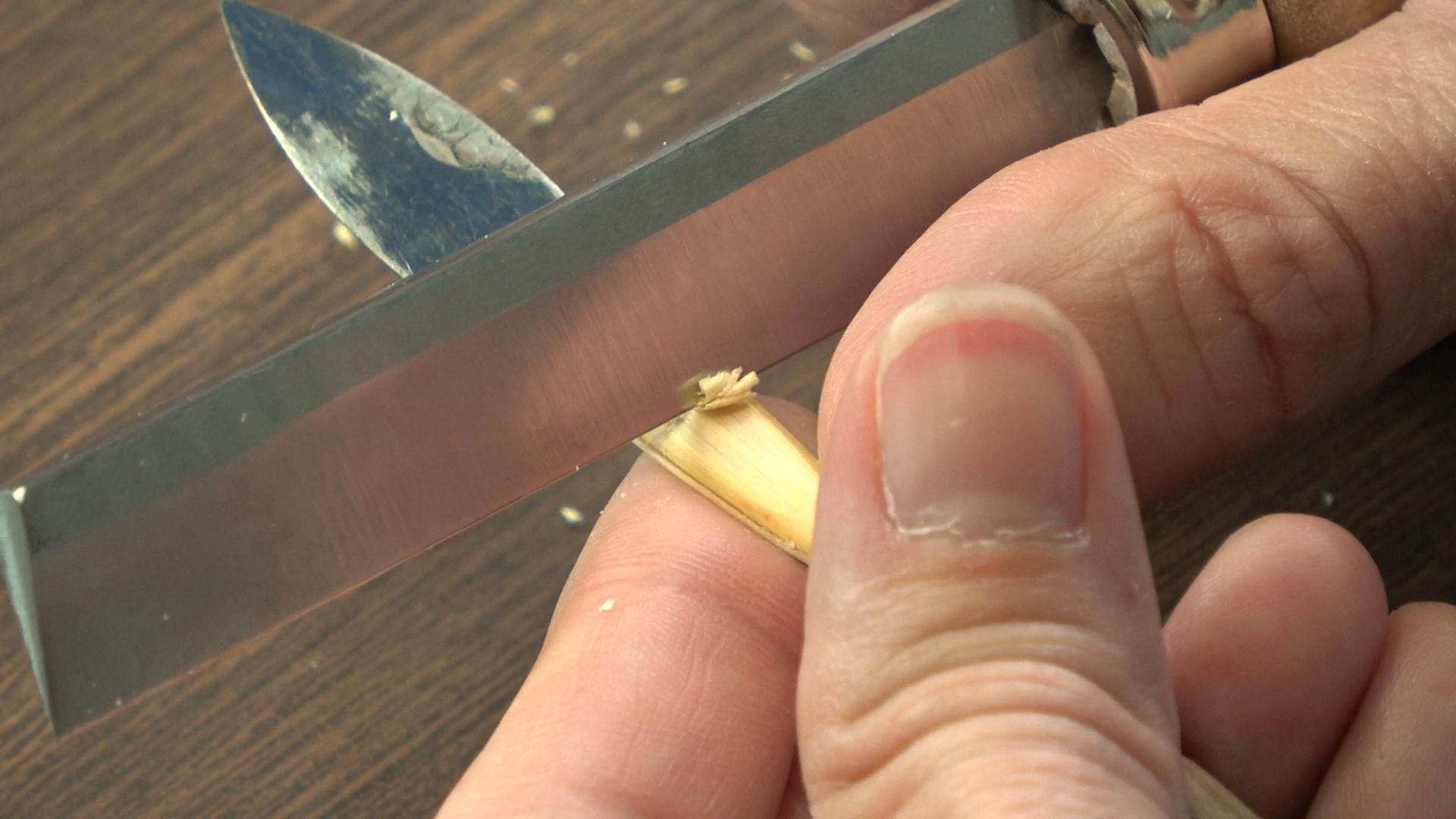 Main Sequence.00_00_24_07.Still007.png