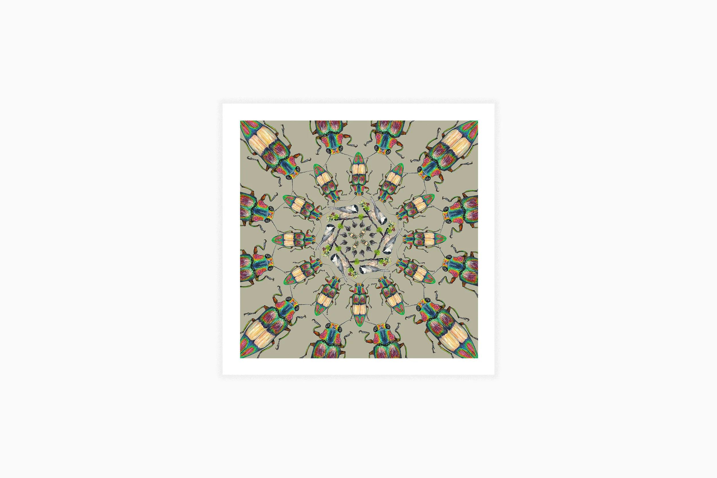 WEB_Don't Be Afraid, We Are Beautiful , မကြောက်ပါနဲ့ ငါတို့က ဖြူစင်လှပပါတယ်.jpg