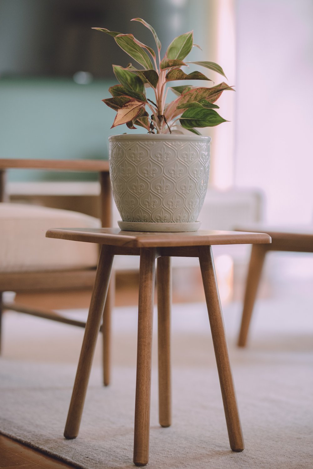 Basil Side Table2.jpg