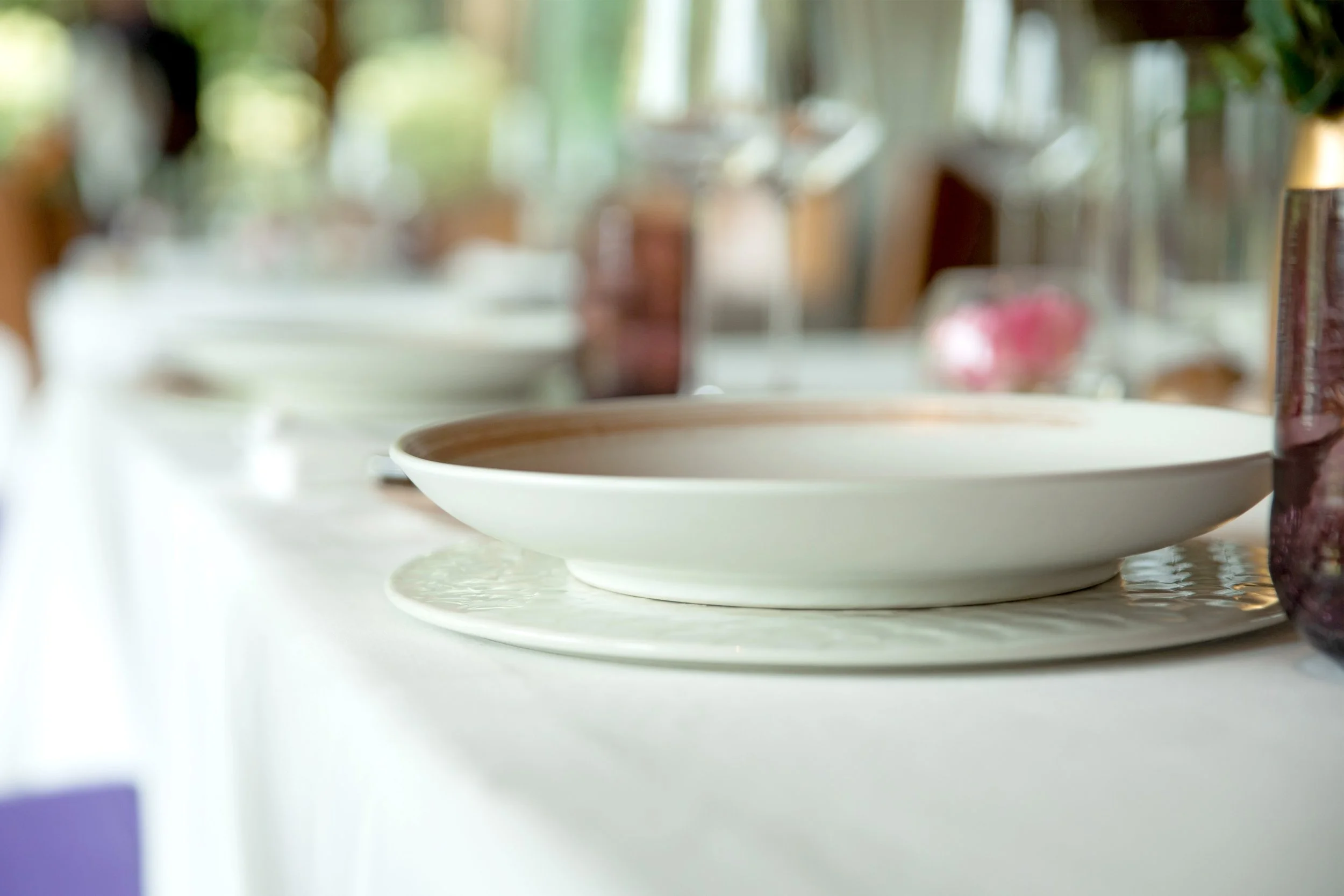 WEB2_San Dinner Plate_SEEDS_16'96 Concepts_Dinnerware.jpg