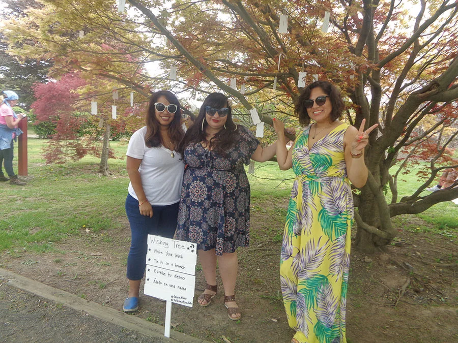 Only in NoHu Wishing Tree