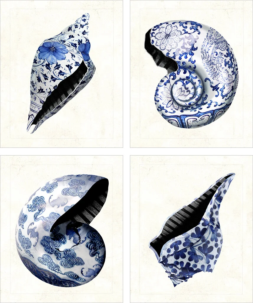 Chinoiserie Shells.jpg