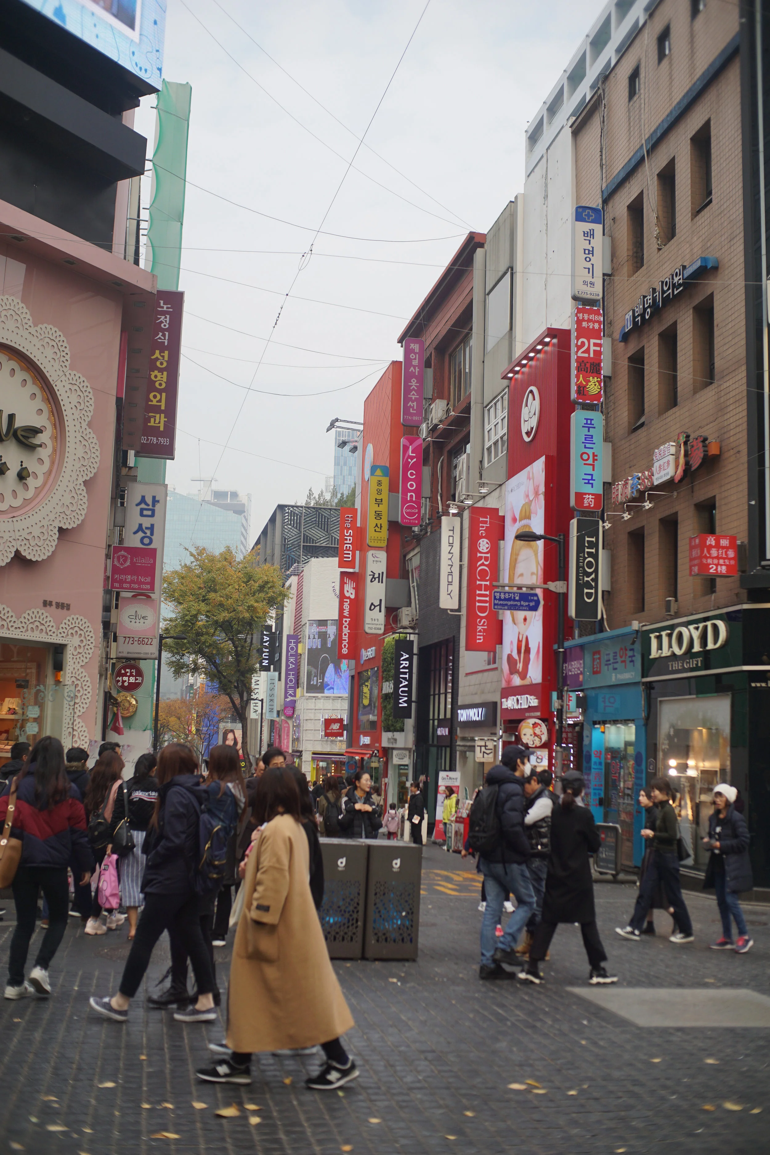 DSC07822.jpg