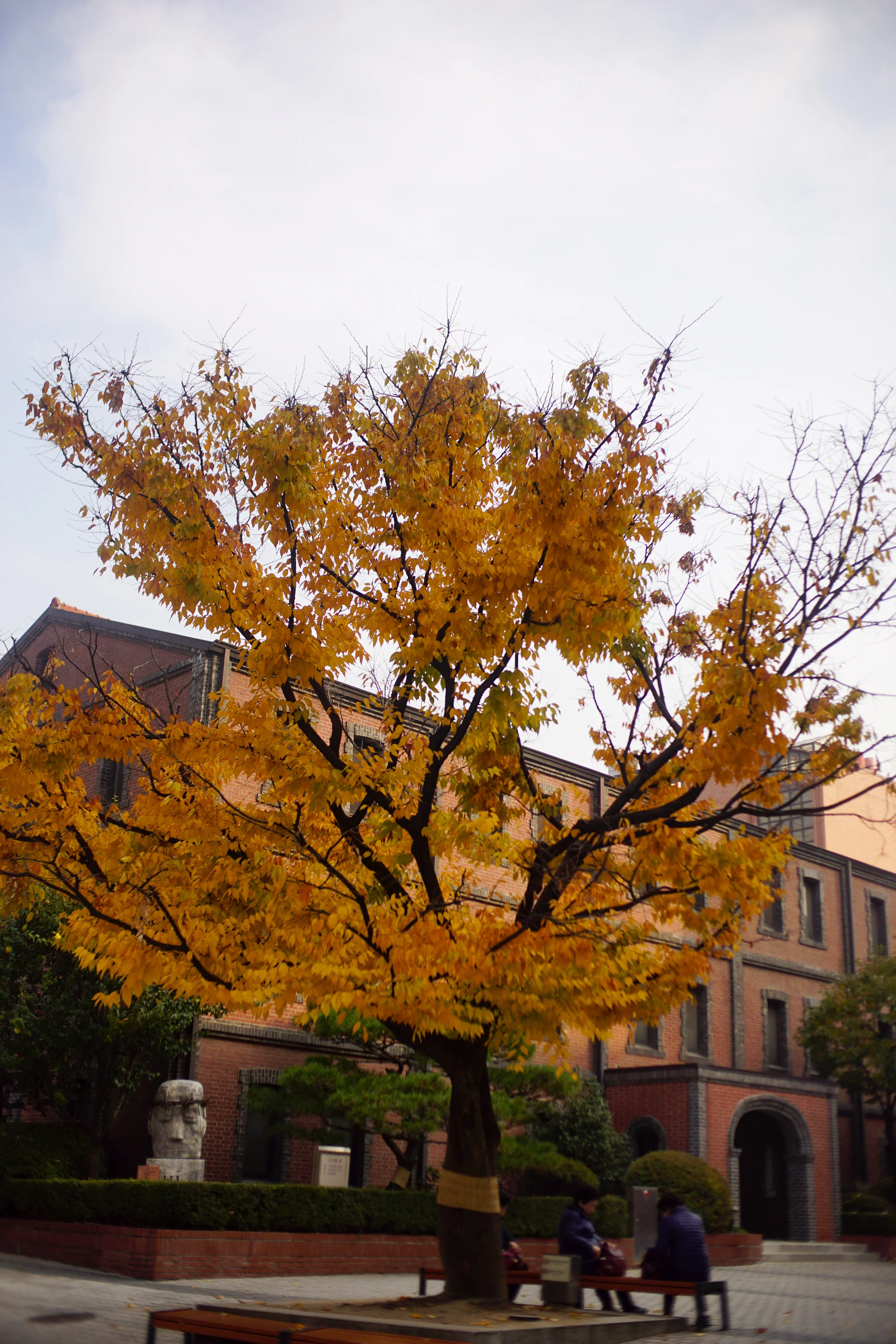 DSC07869.jpg