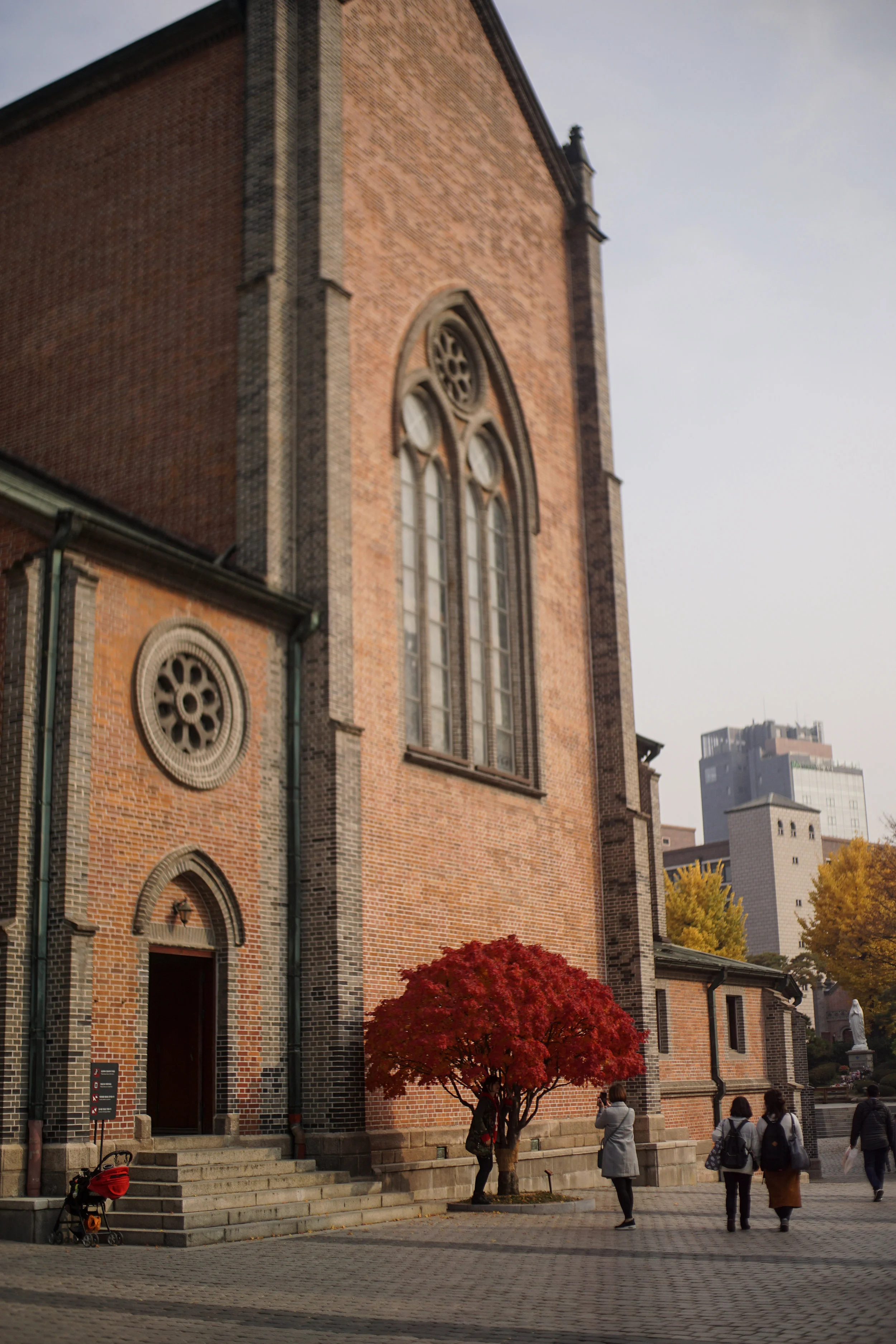 DSC07873.jpg