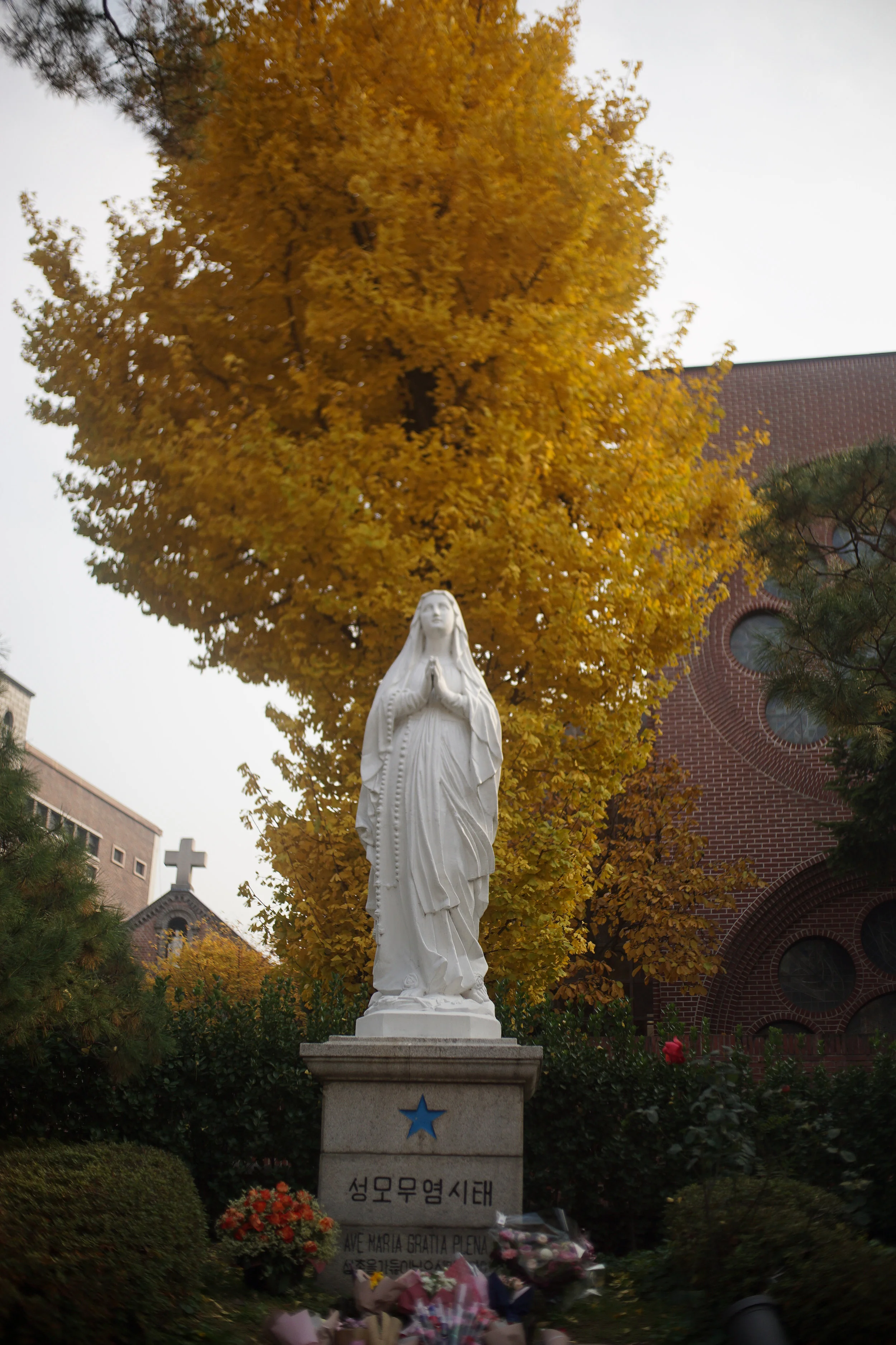 DSC07879.jpg