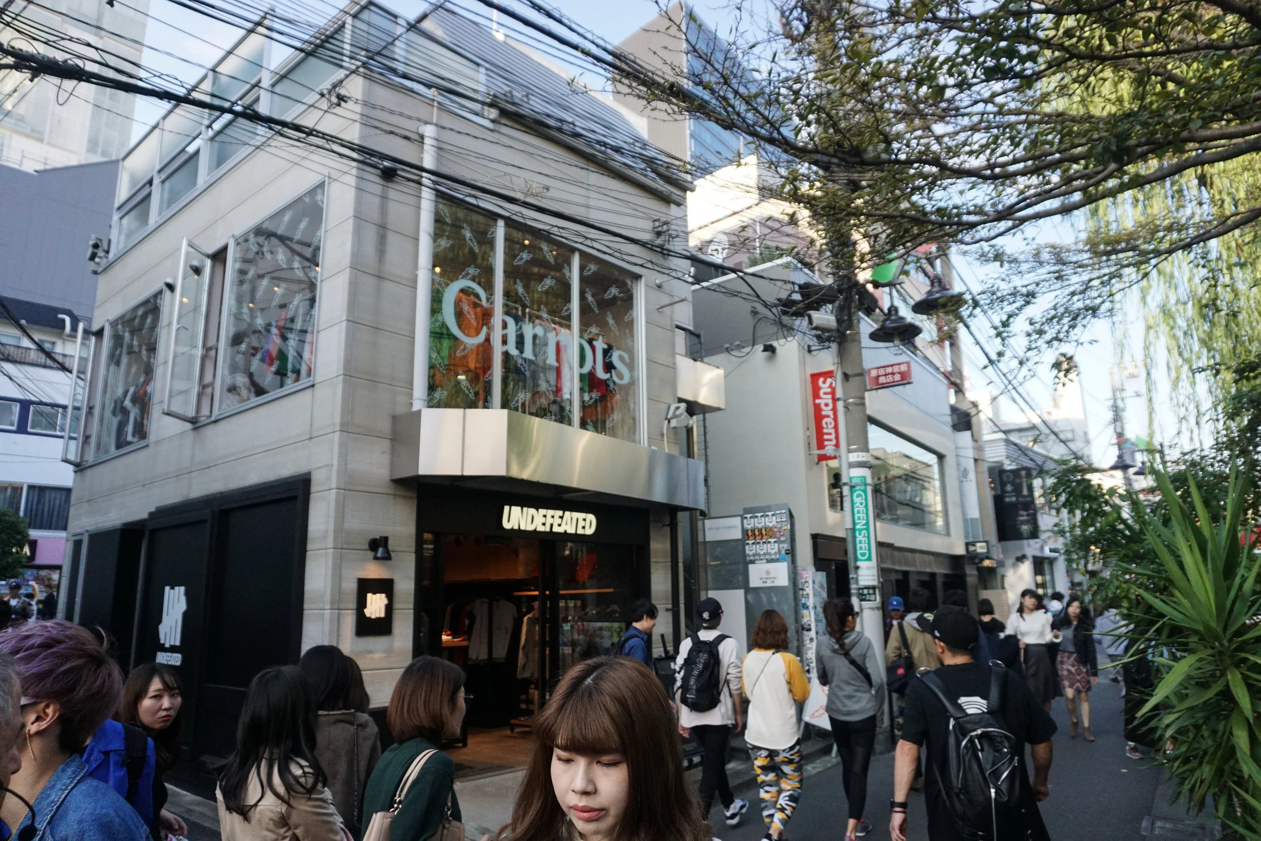 DSC08353.jpg