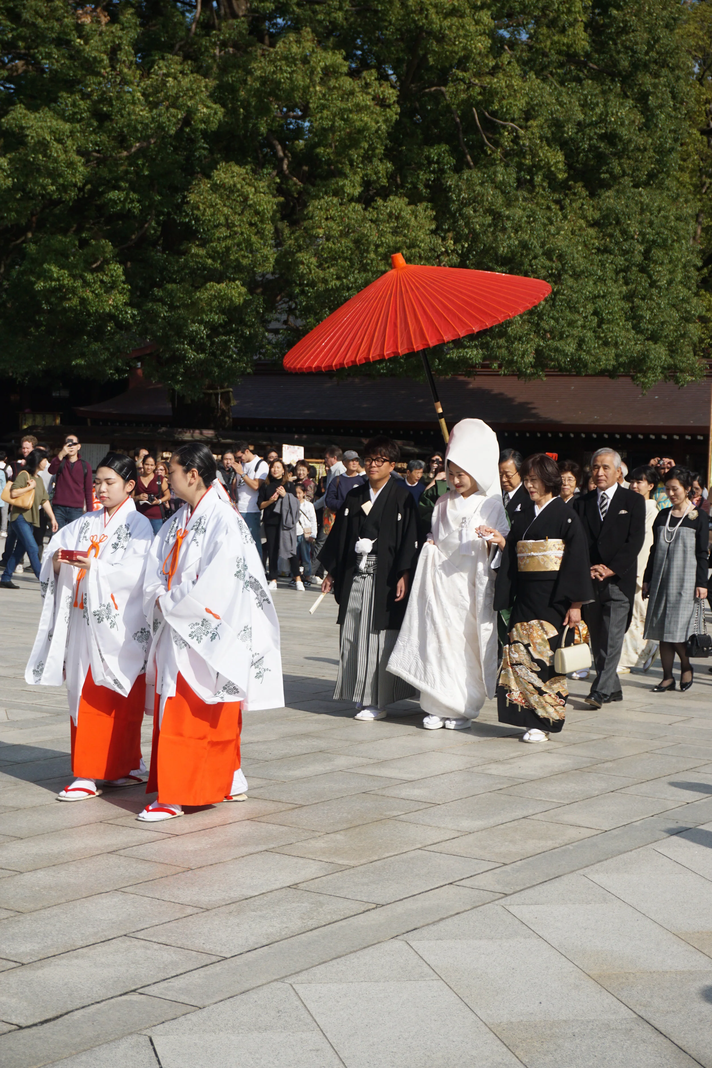 DSC08250.jpg