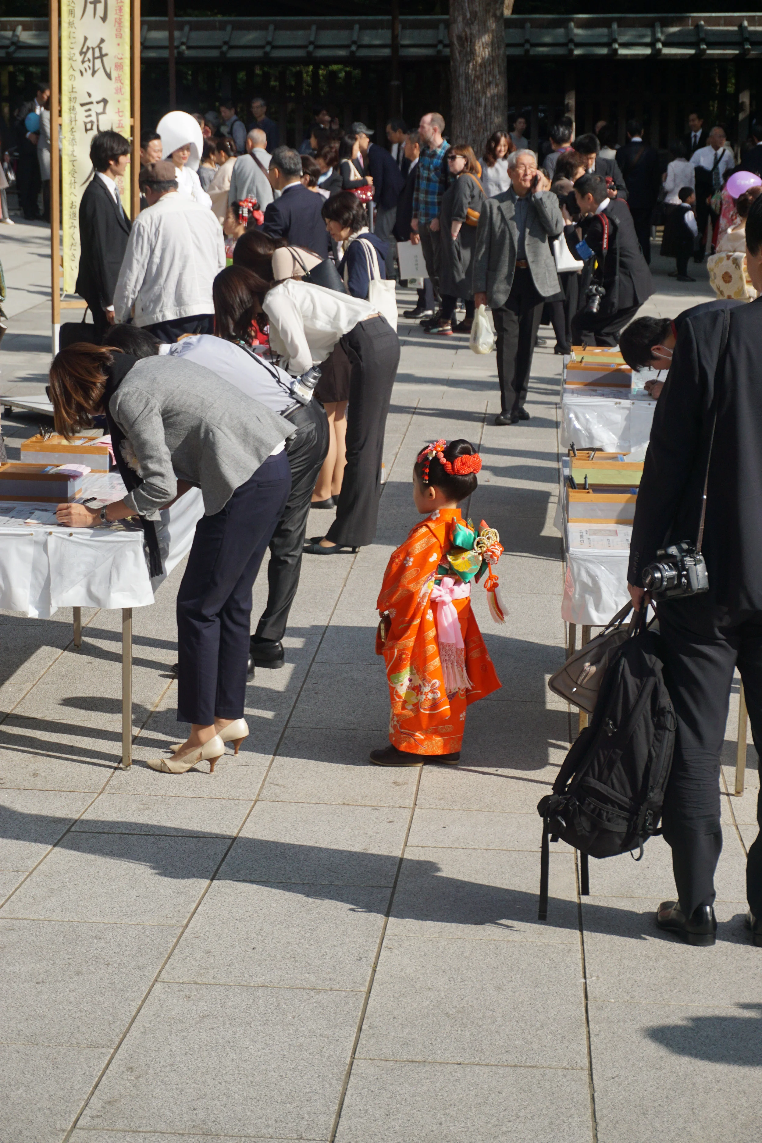 DSC08286.jpg