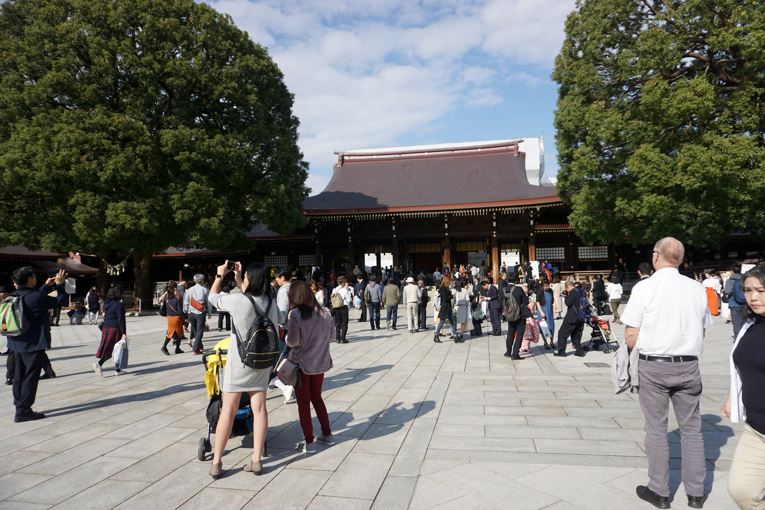 DSC08301.jpg