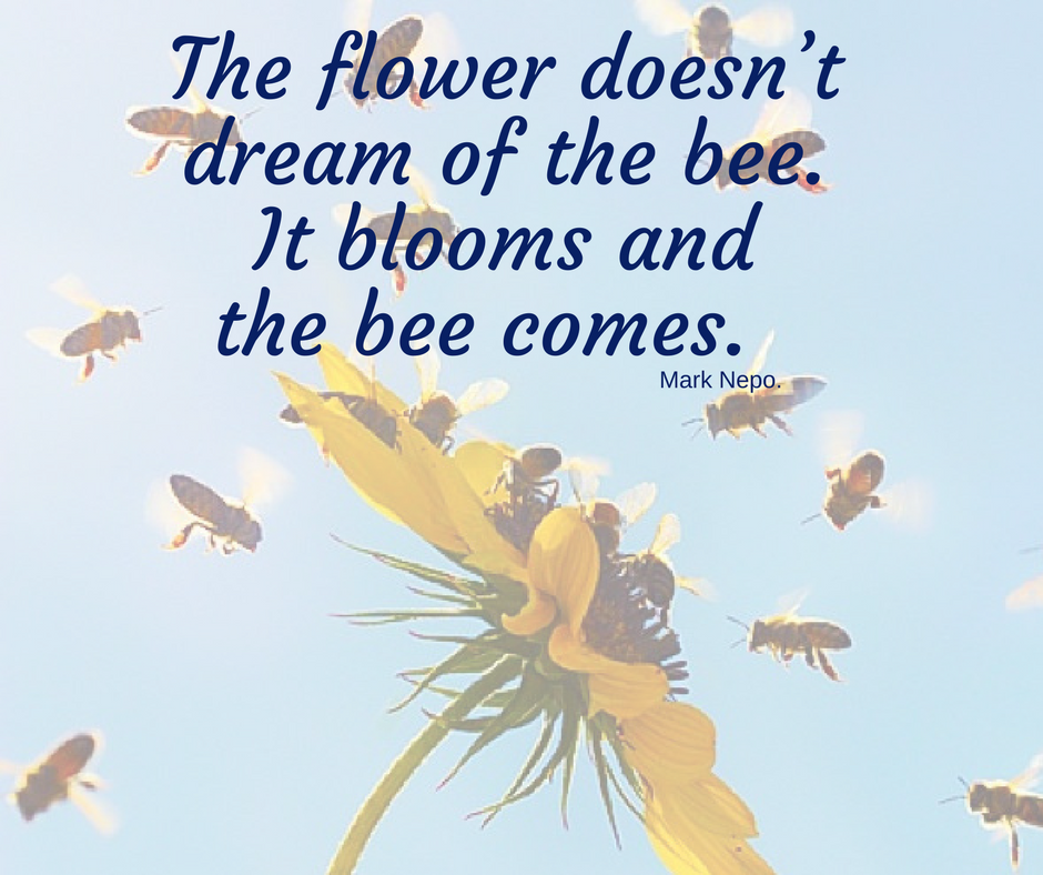 Quote of the day