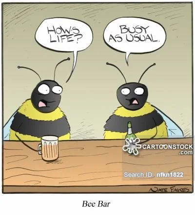 animals-bar-bees-busy_schedule-busy_bees-busy_lifestyle-nfkn1822_low.jpg