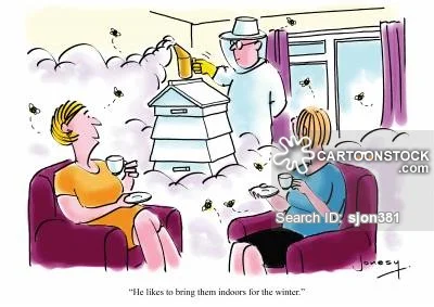 Bee Comics