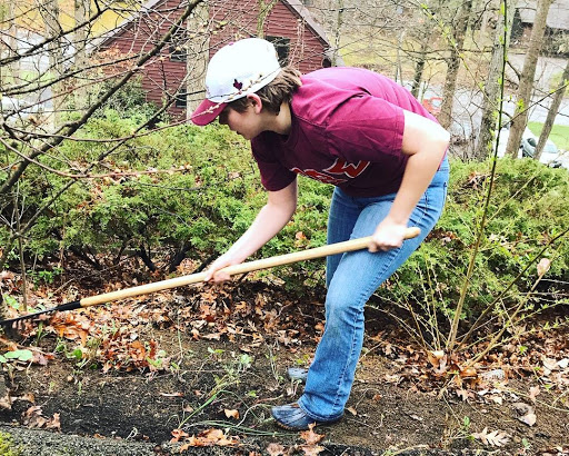 Alex Springer raking leaves; Source: Syd Hartwig