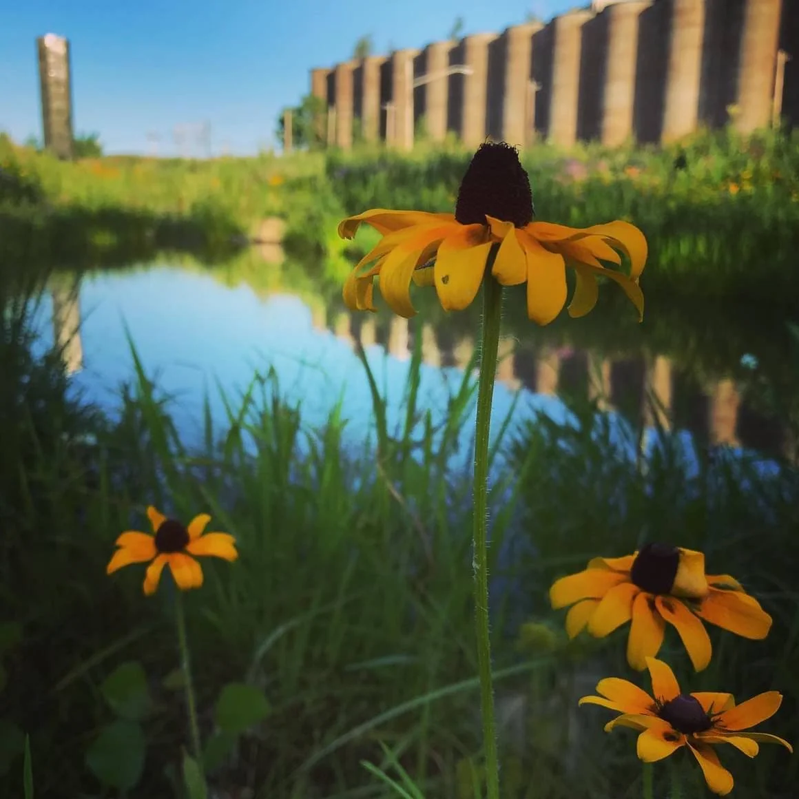 Silo City