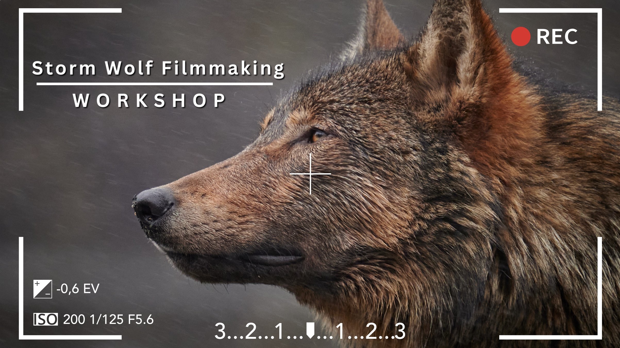 Filmmaker workshop