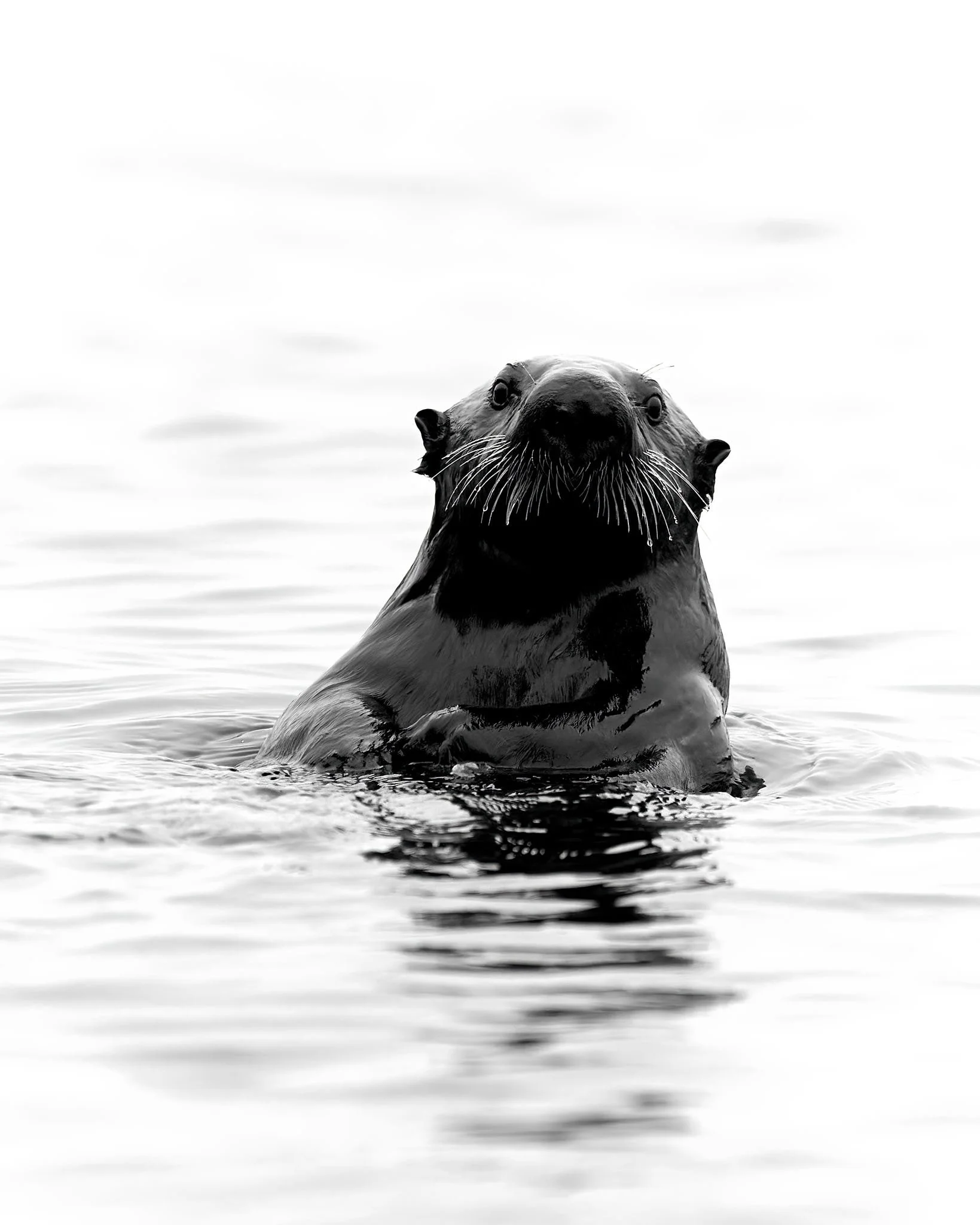 seaforth_expeditions 25.jpg