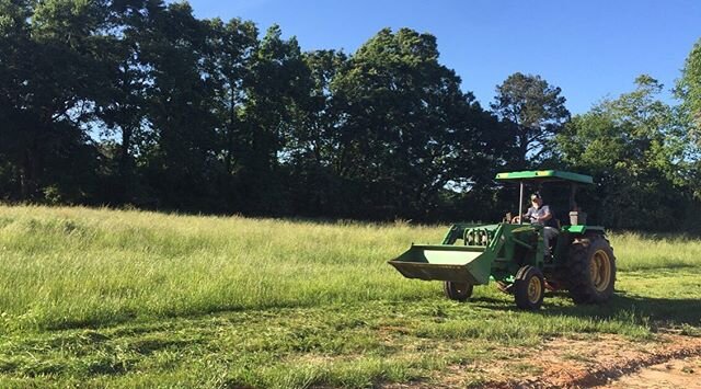 Warm weather calls for cutting hay!

#ridgecreekfamilyfarm #cows #pigs #chickens #pork #beef #chicken #chickensofinstagram #farmtotable #farm2table #farm2fork #farmlife #southernliving #farmfresh #farmfresheggs #buylocal #eatrealfood