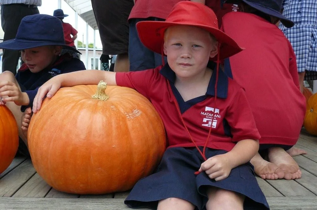 brooklyn pumpkin.jpg