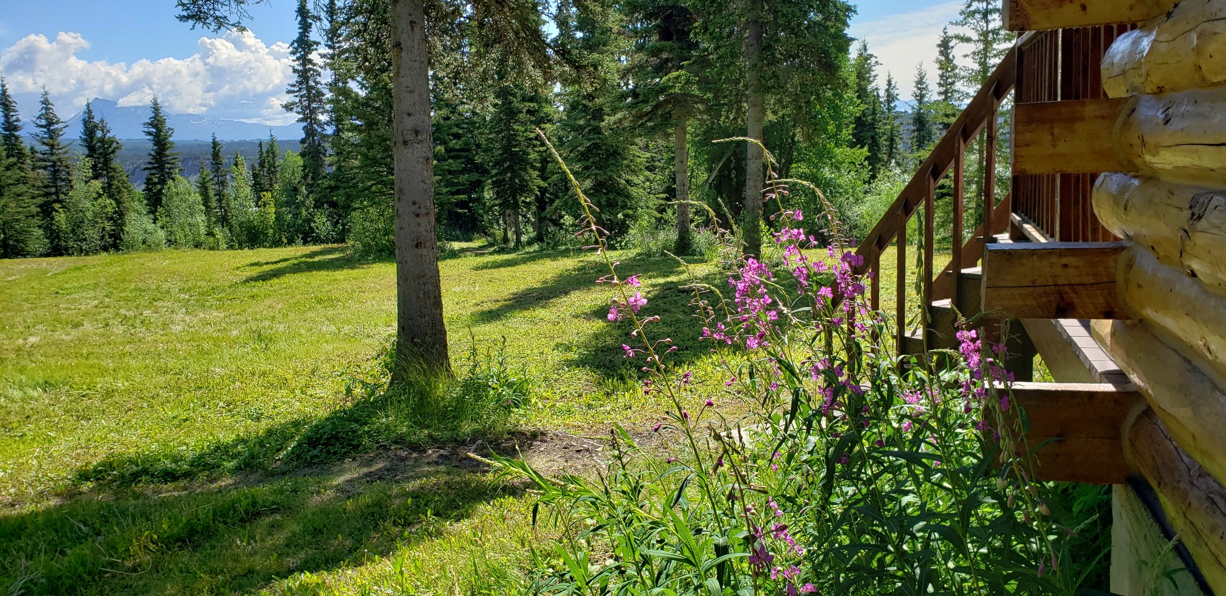  Bluff Cabin 