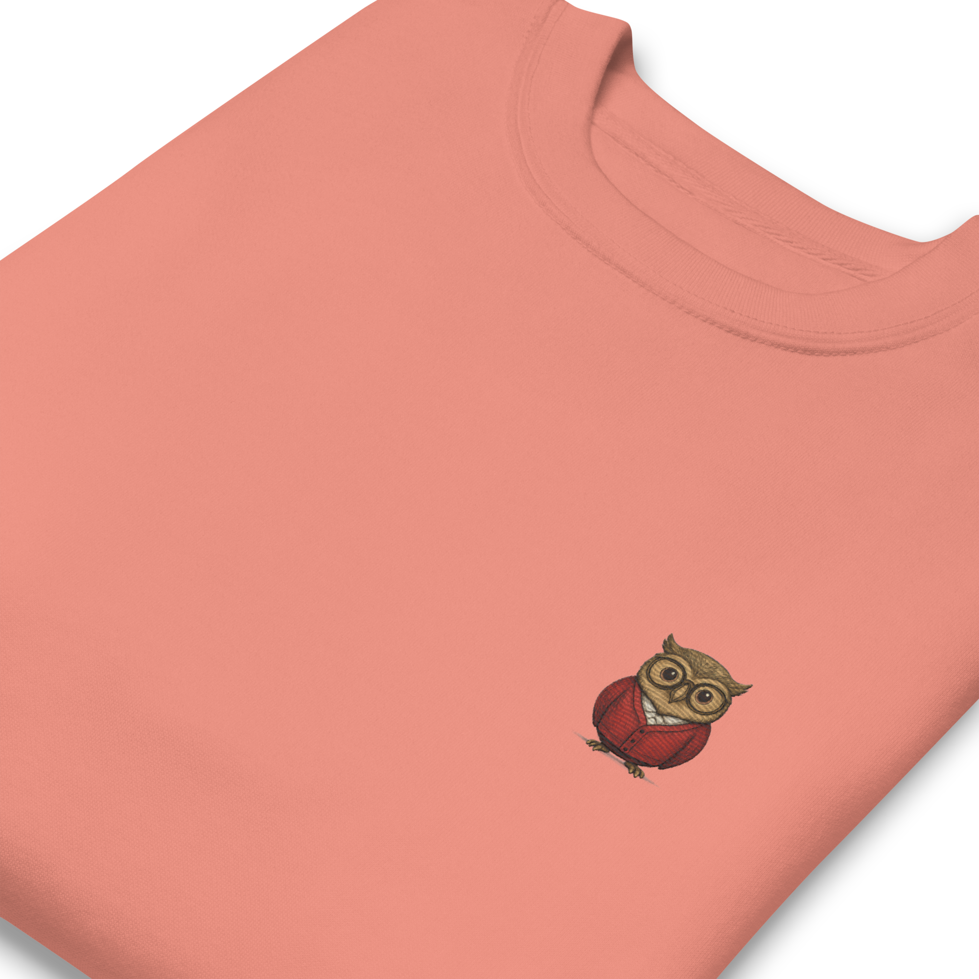 unisex-premium-sweatshirt-dusty-rose-zoomed-in-691d570f7730e.png