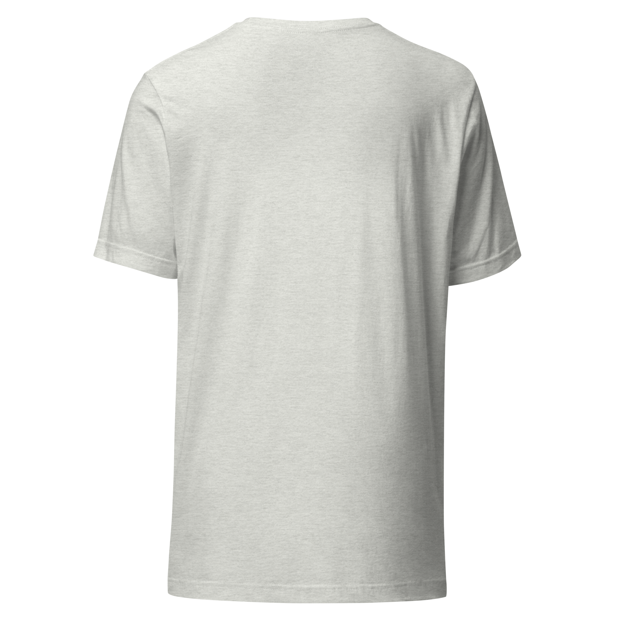 unisex-staple-t-shirt-ash-back-6a9c3a9621e0f.png
