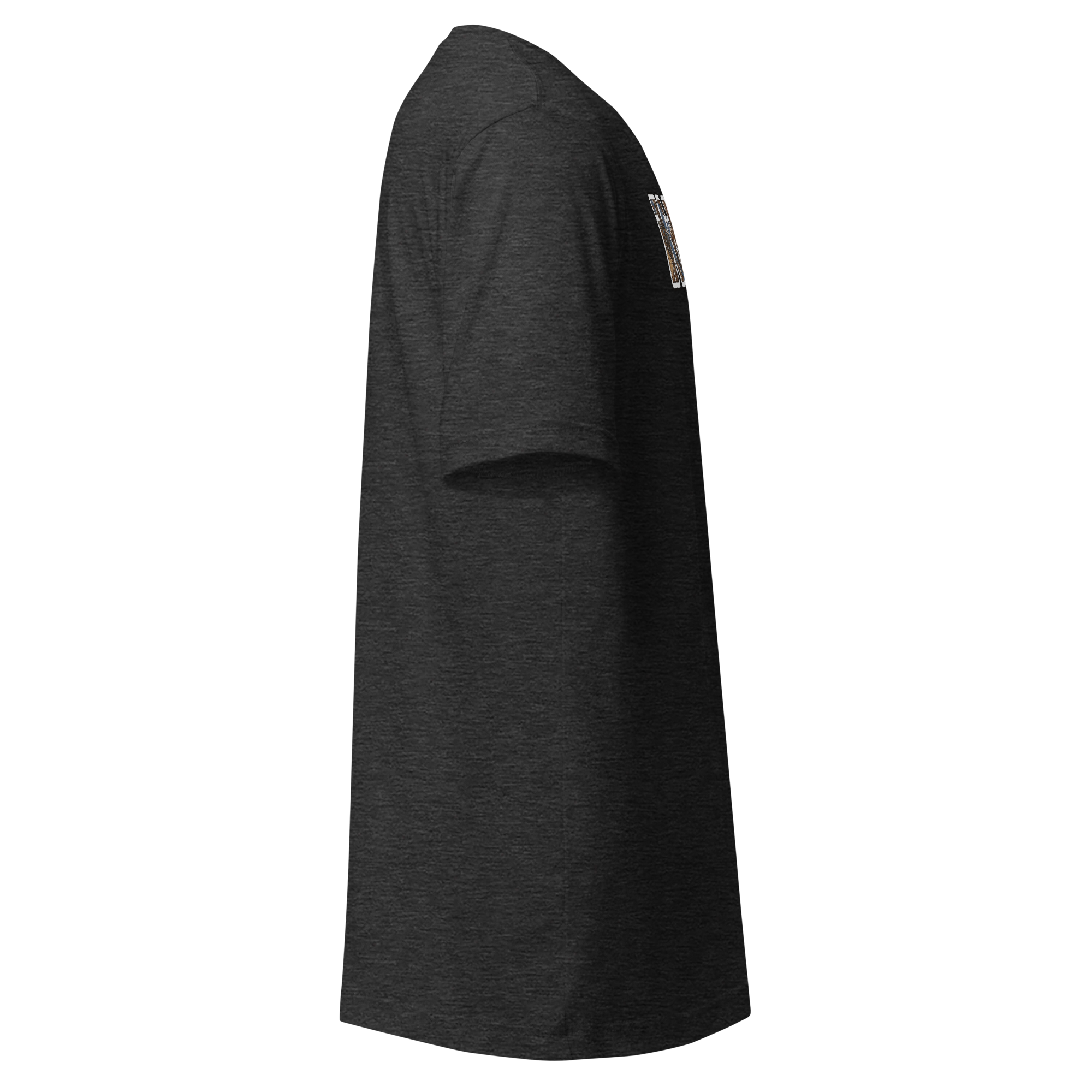 unisex-staple-t-shirt-dark-grey-heather-right-6ad921b2ca8b2.png