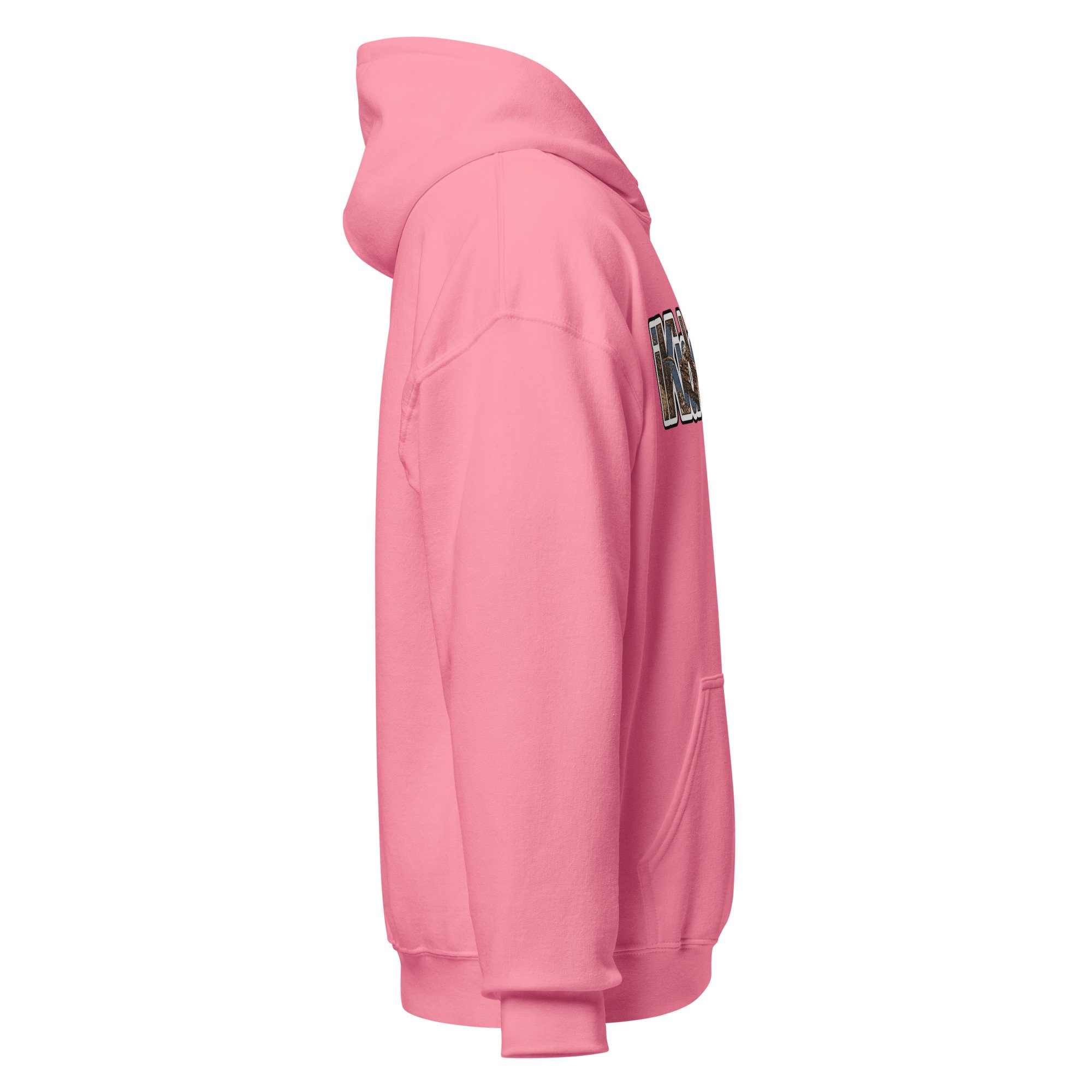 unisex-heavy-blend-hoodie-azalea-right-6ad939630775a.jpg