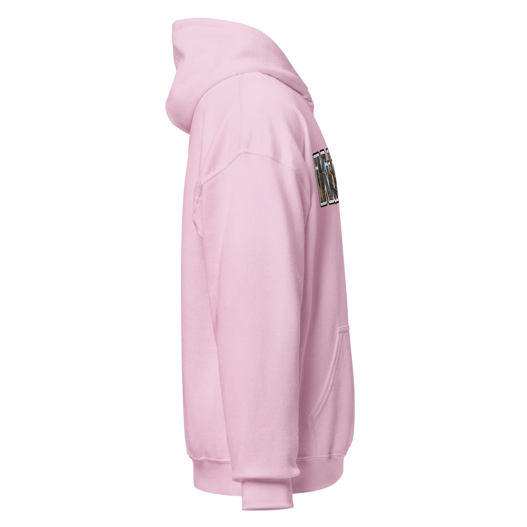 unisex-heavy-blend-hoodie-light-pink-right-6ad939630753d.jpg
