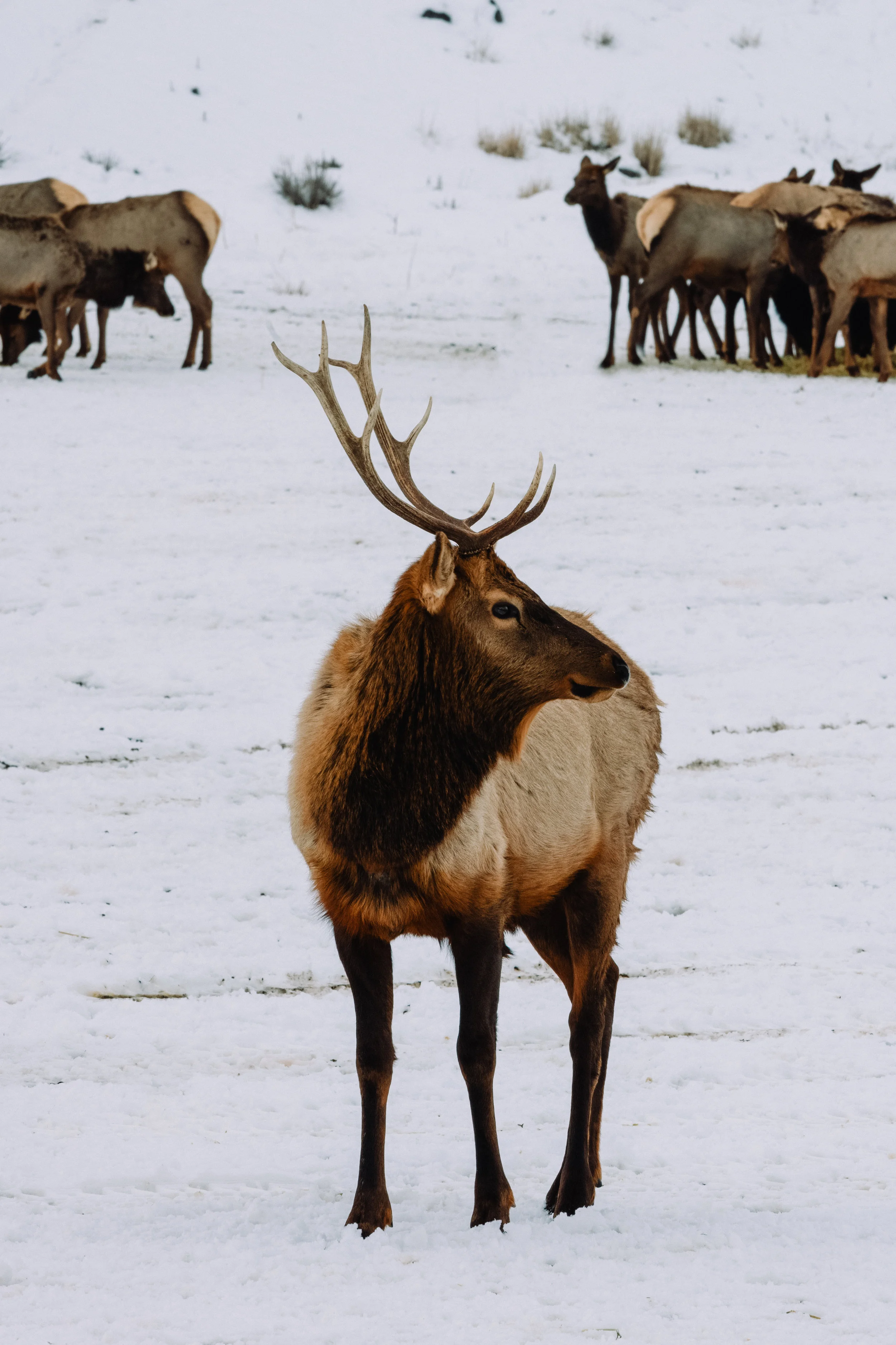 AEW02309-Edit.jpg
