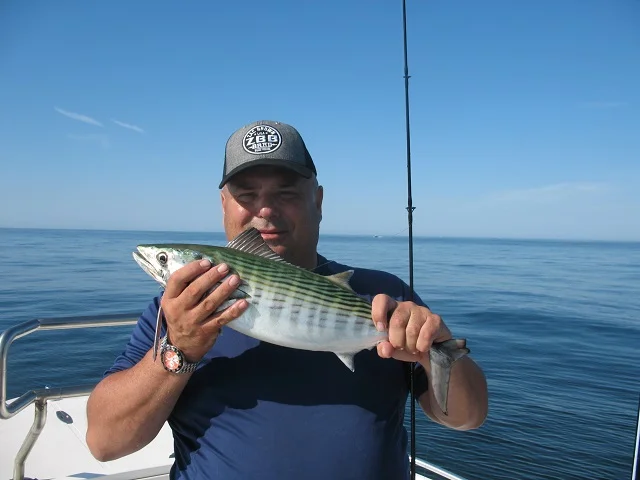 davehenaultbonito.jpg