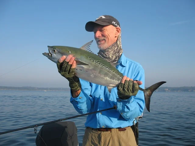 sykesmarc9182015.jpg
