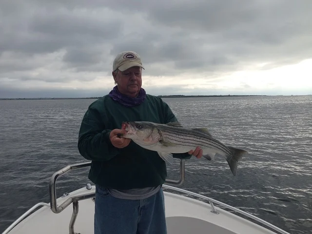 oct3gillstriper.jpg