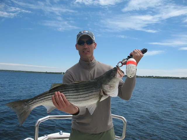 6917jimreardonstriper14.jpg