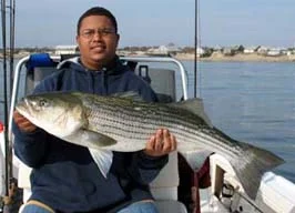 Nice Bass caught, light tackle Narragansett Bay