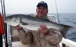 Beautiful Striper fly fishing Rhode Island.
