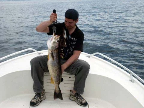 61805Jasonweakfish32.5inches.jpg