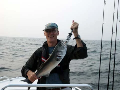 81305chipbluefish.jpg
