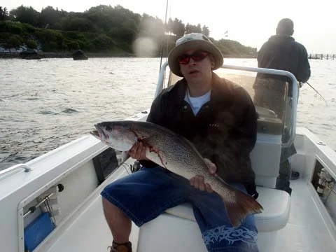 dmon30weakfish.jpg
