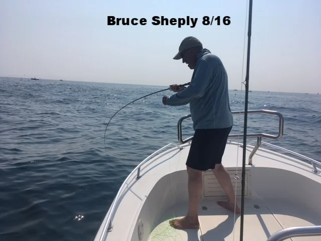 brucesheply816.JPG