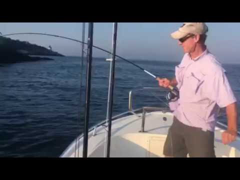 Fly fishing Rhode Island