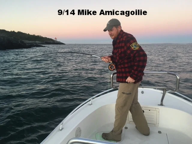9142018mikeamicagoilie.JPG