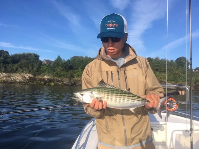 mason Yeh Bonito.JPG