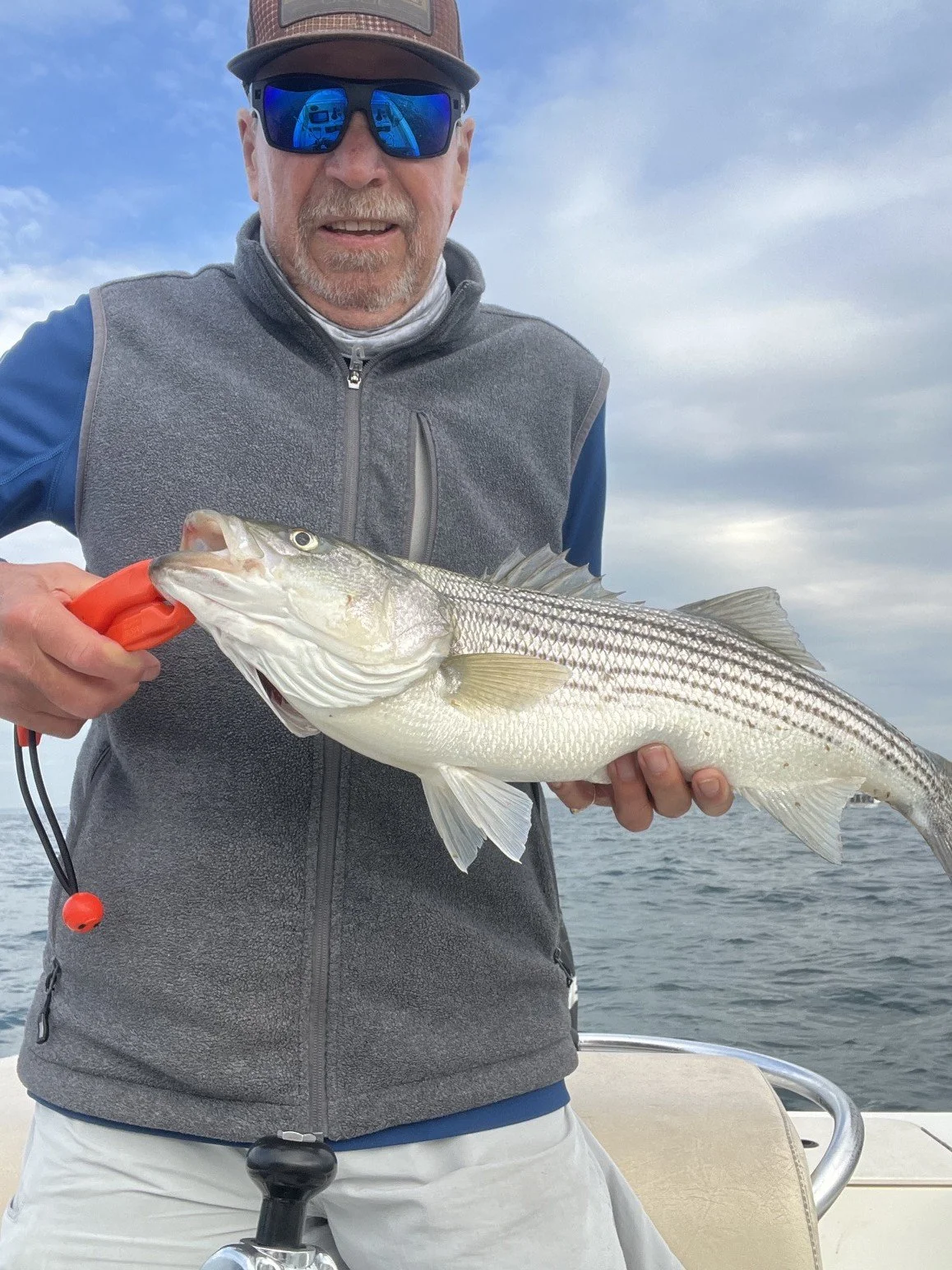 reneslotfish.jpg