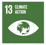13_Climate_Action.png