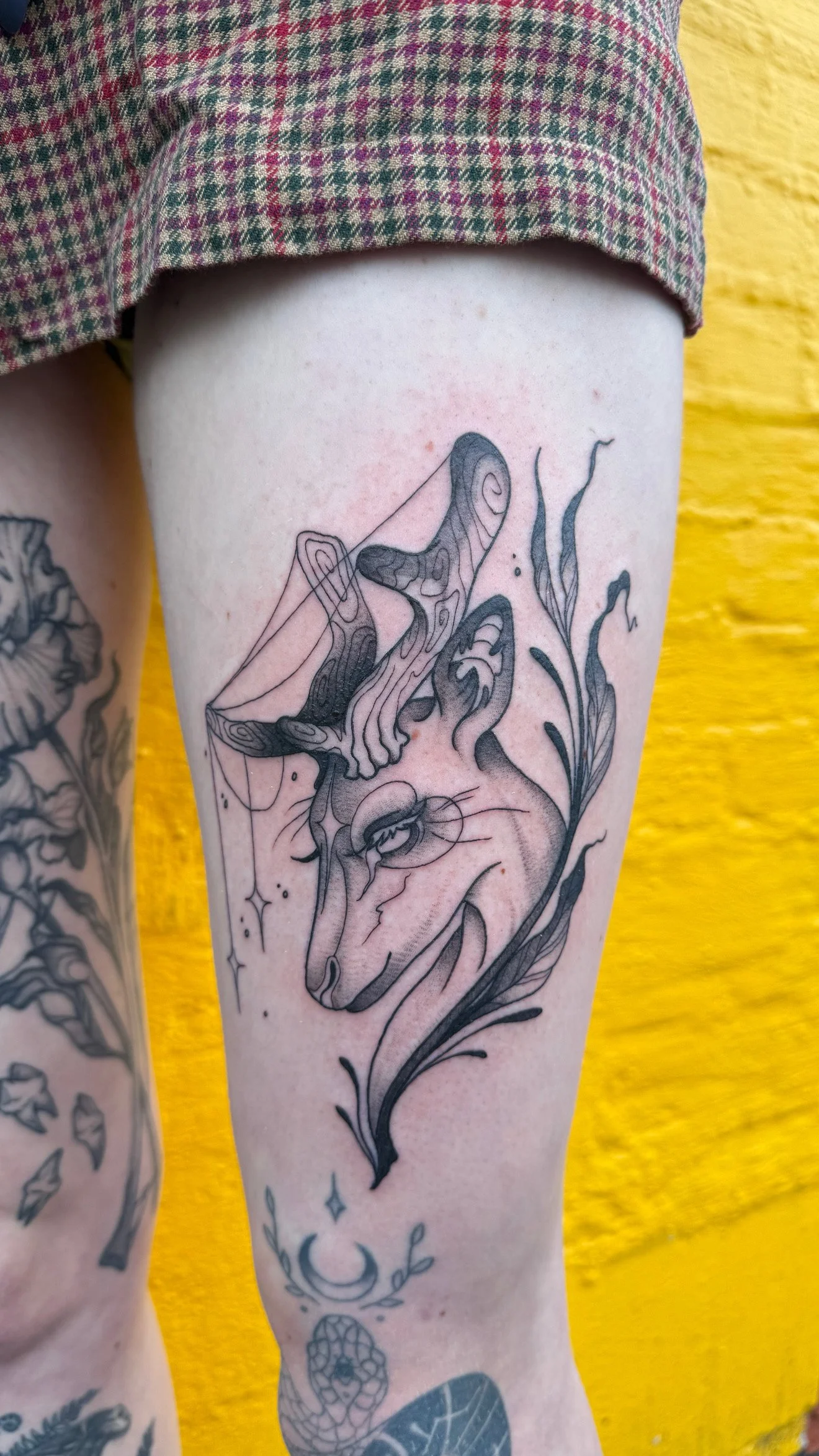 Guest Artist: Aura