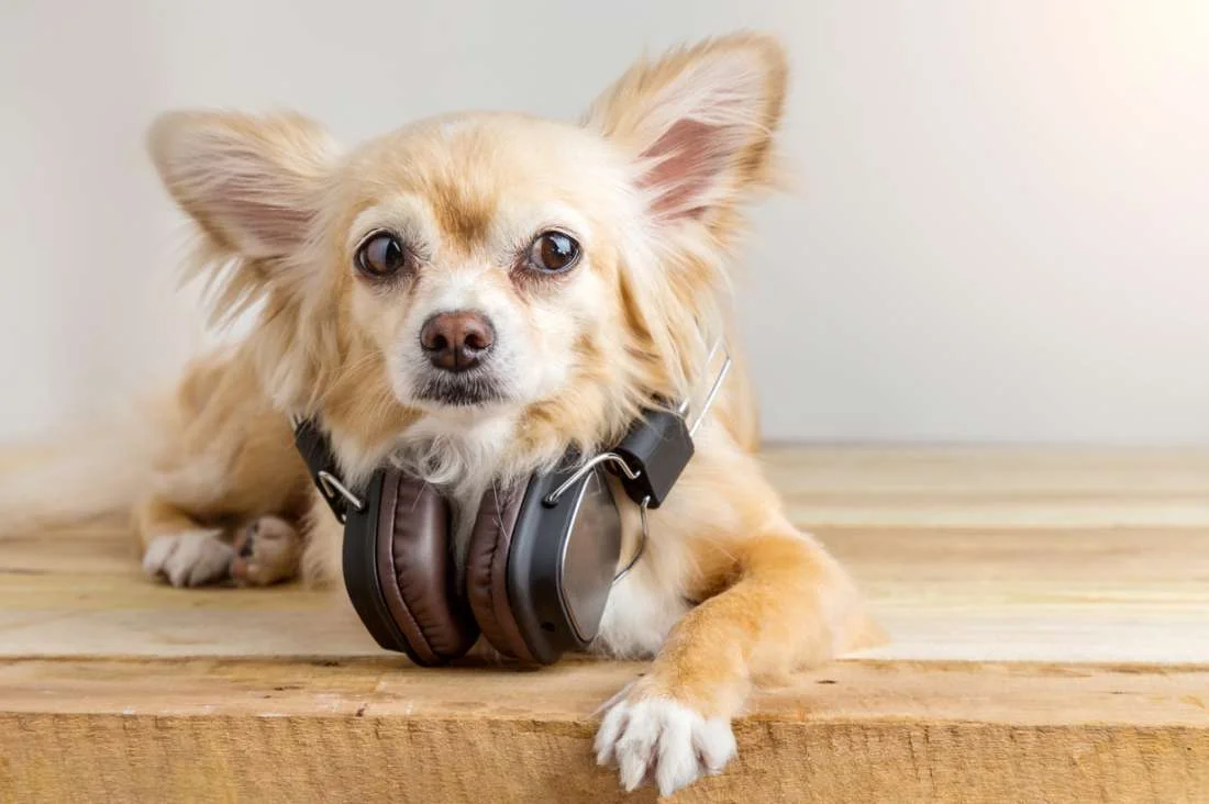 503434-iStock-624496366.jpg