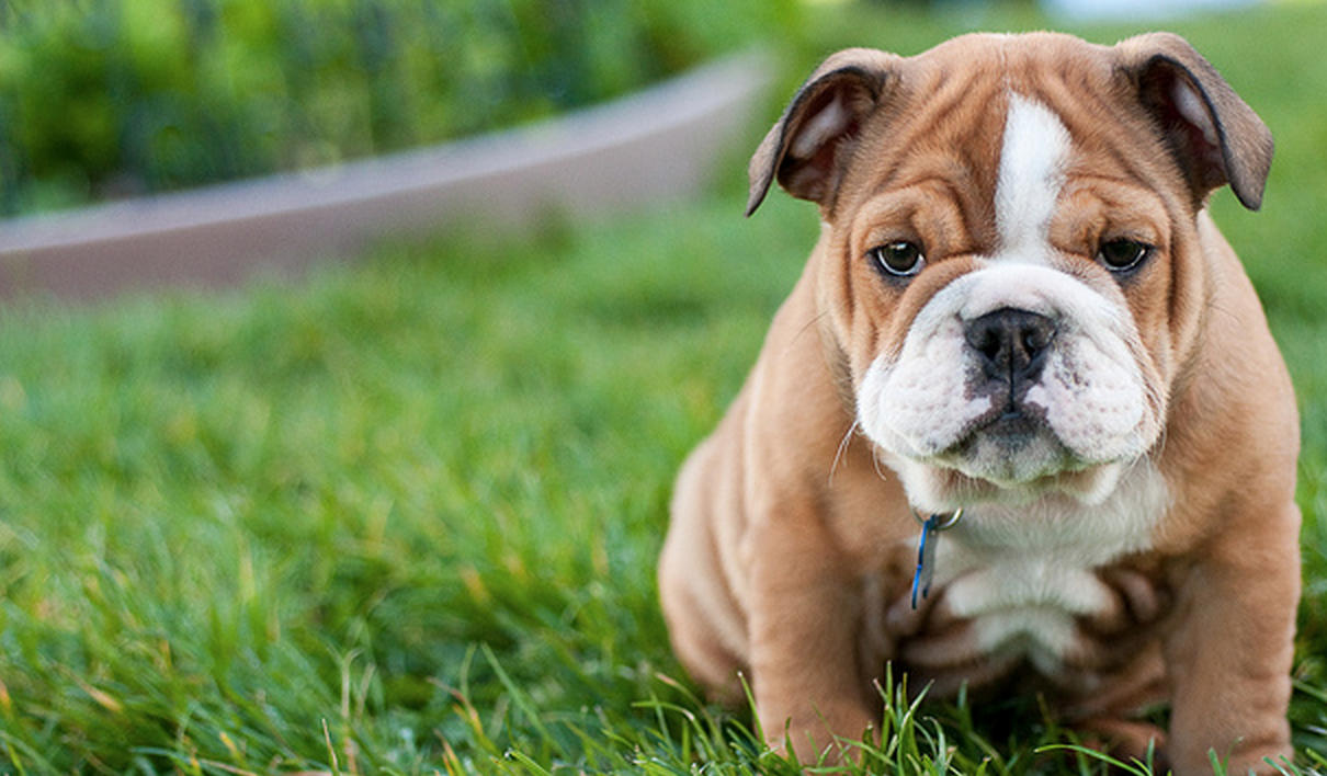 Screenshot-2015-01-17-16.15.29.png